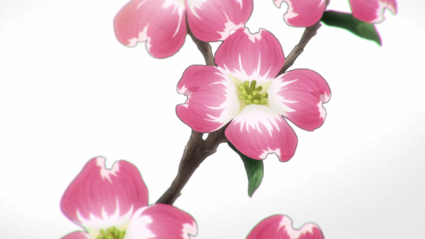 cherry blossom look-alike dogwood four petal flowers kiznaiver ending flower meanings